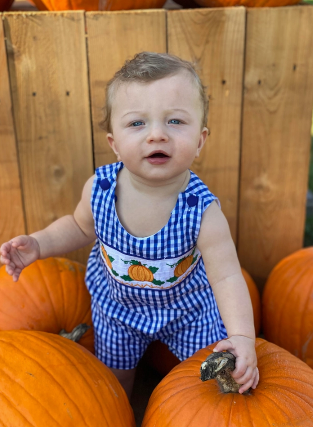 Baby Boy Blue Gingham Embroidered Pumpkin Smocked Shortalls Thanksgiving