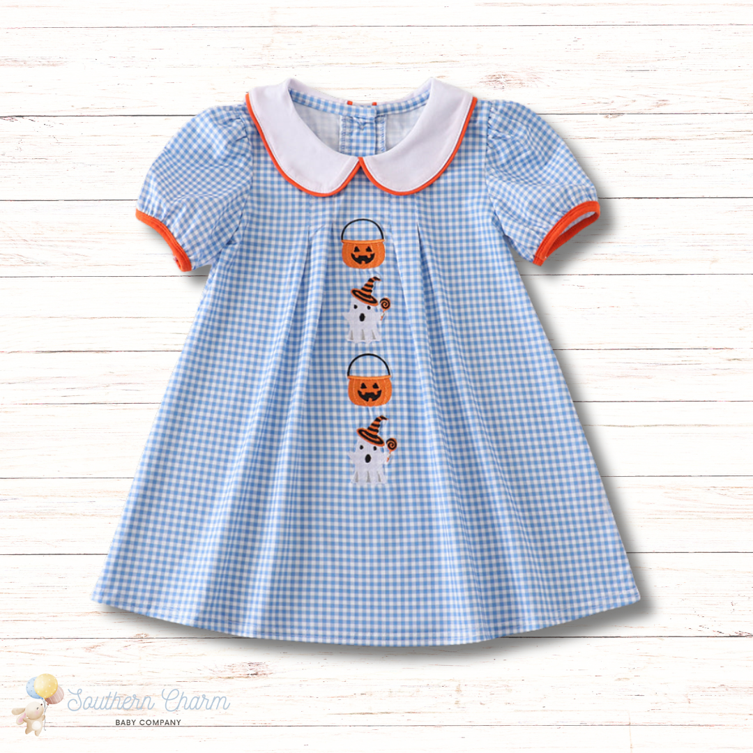 Blue Gingham Ghost Embroidery Dress